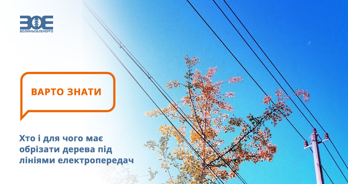 Хто і для чого має обрізати дерева під лініями електропередач