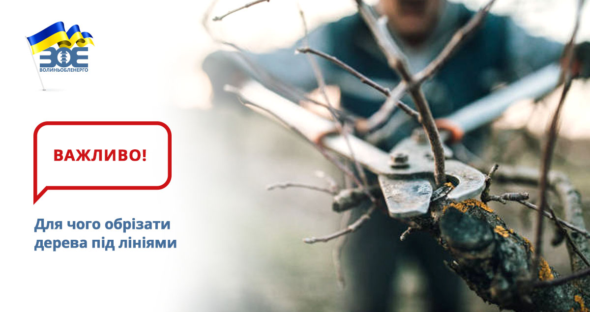 Для чого обрізати дерева під лініями