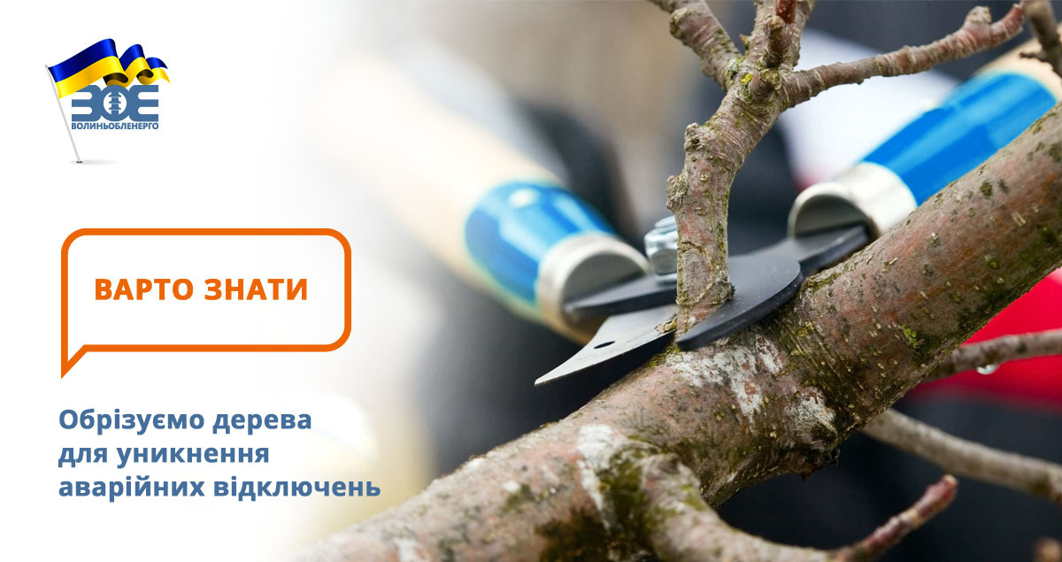Обрізуємо дерева для уникнення аварійних відключень 