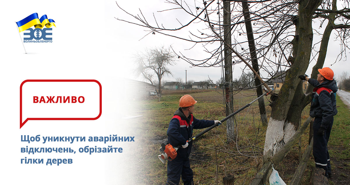 Щоб уникнути аварійних відключень, обрізайте гілки дерев