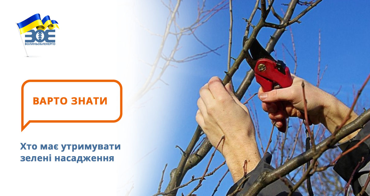 Хто має утримувати зелені насадження