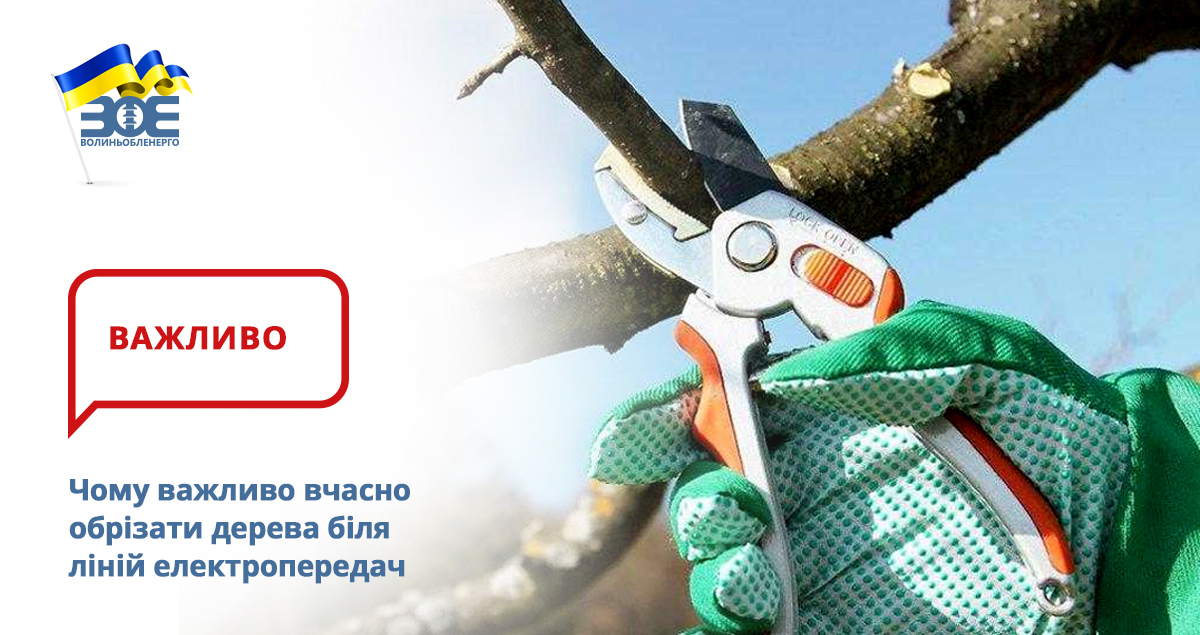 Чому важливо вчасно обрізати дерева біля ліній електропередач
